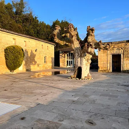 Villa Ancien Château Viticole Bourg