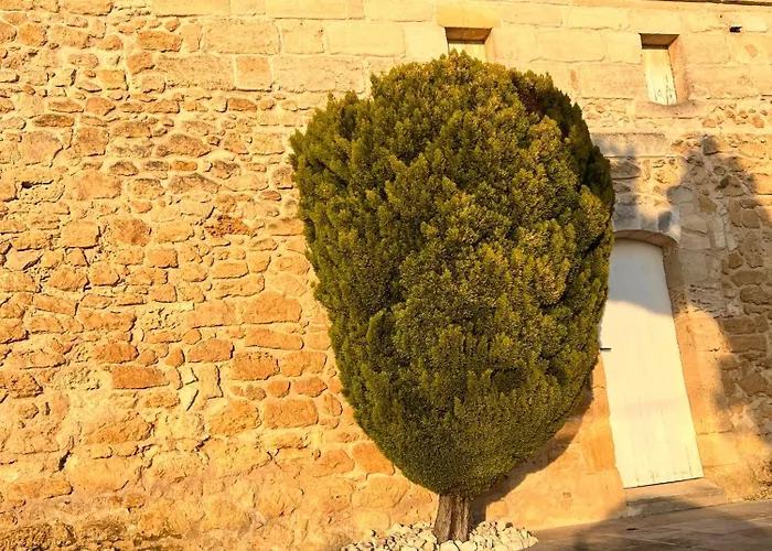 Ancien Château Viticole Villa